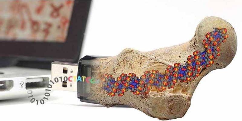امکان ذخیره سازی 455 اگزابایت اطلاعات درون 1 گرم DNA