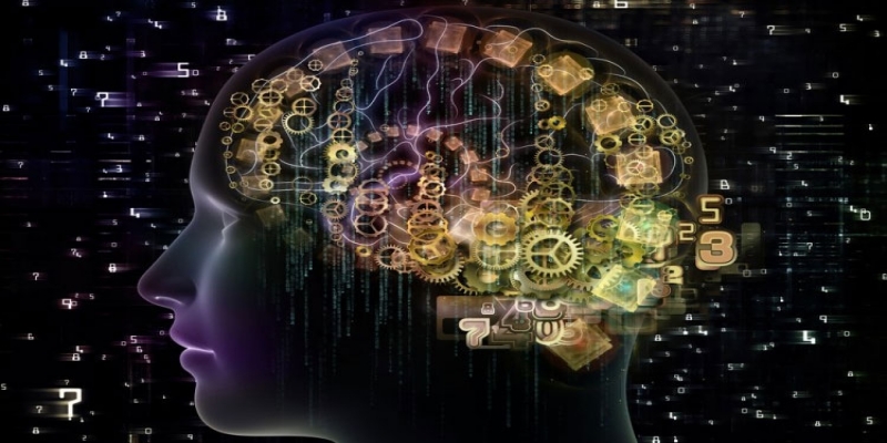 با باهوش ترین کشورهای جهان آشنا شوید