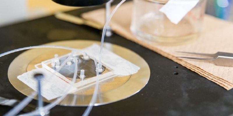 درمان دیابت به کمک کپسول های ساخته شده از جلبک دریایی